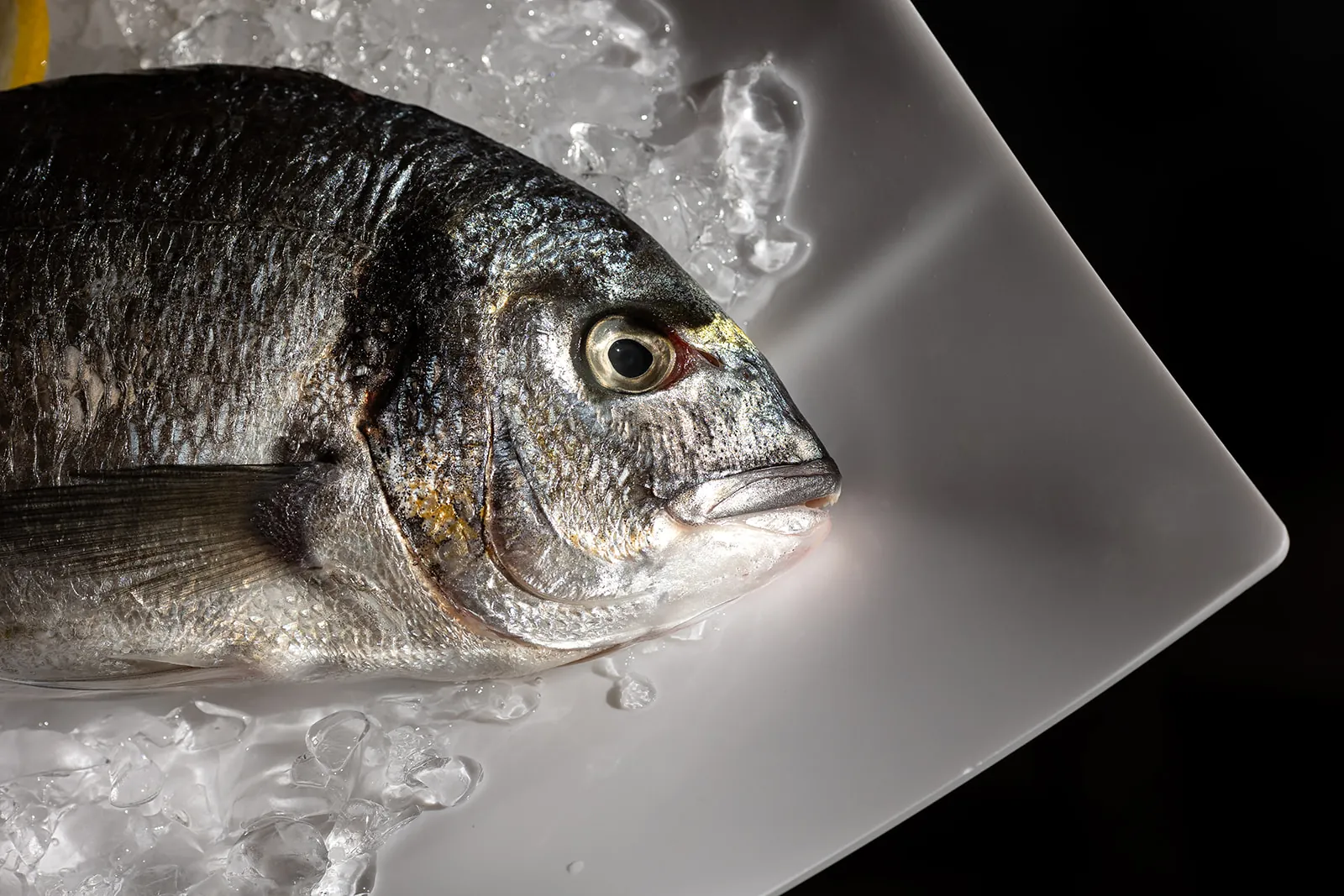 Fresh fish on ice